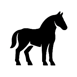 Reitanlage Sülzerhof